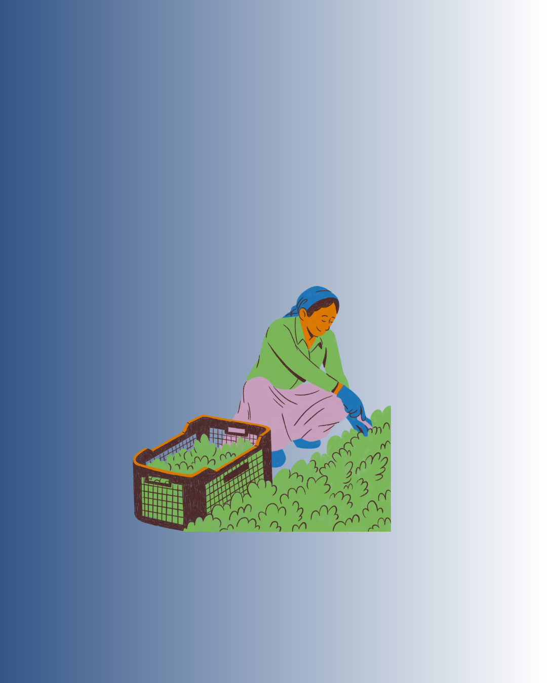 Aposentadoria Rural em 2025