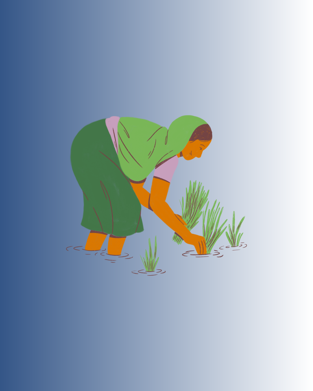 Requisitos Simplificados para o Trabalhador do Campo o Tempo para sua Aposentadoria Rural!